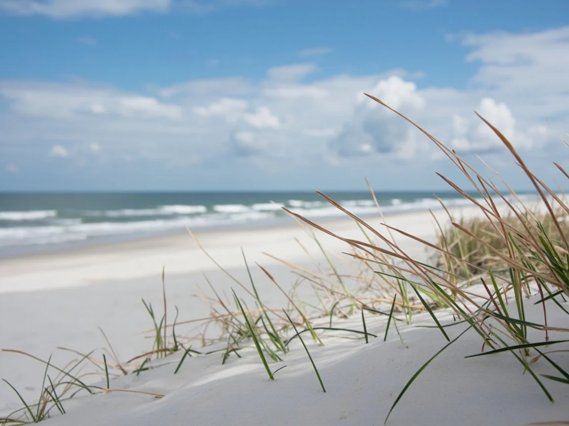 Family visitors enjoying the Myrtle Beach coastline