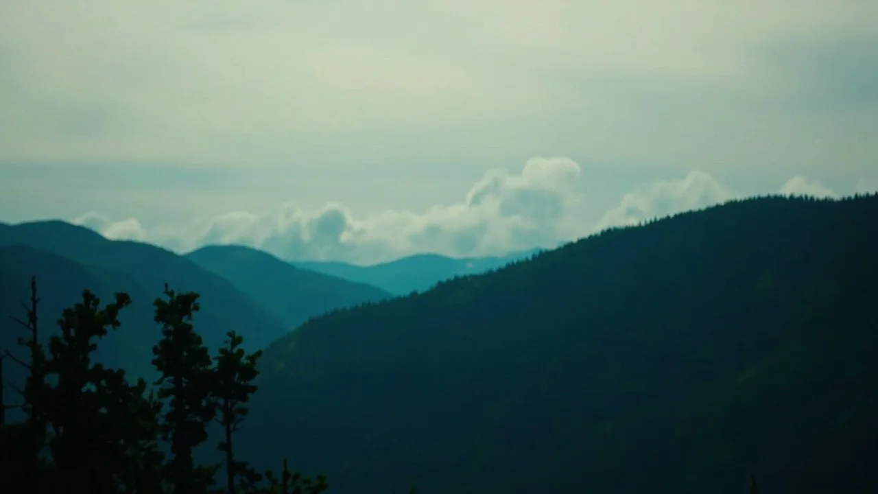 Denali National Park 主题封面图