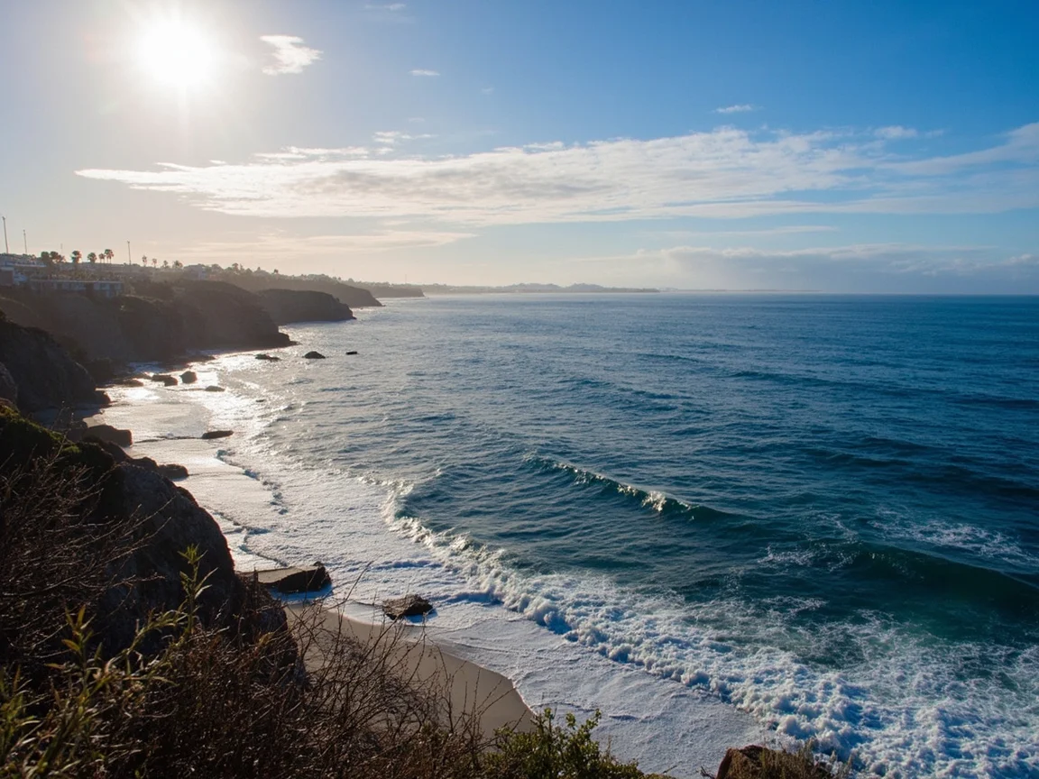 ฉากเินป่ากลาแจ้งใน San Diego