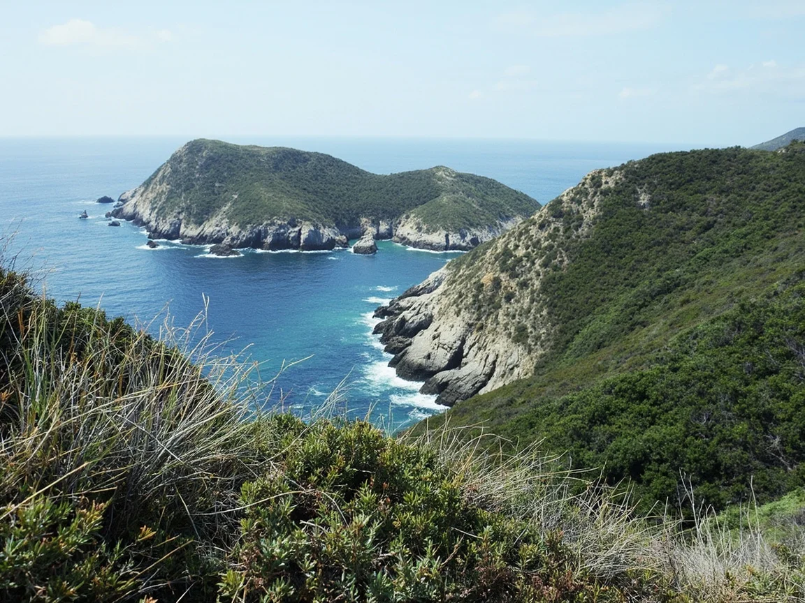 图片说明:文图拉港登船码头,旅客排队等候 Island Packers 渡轮