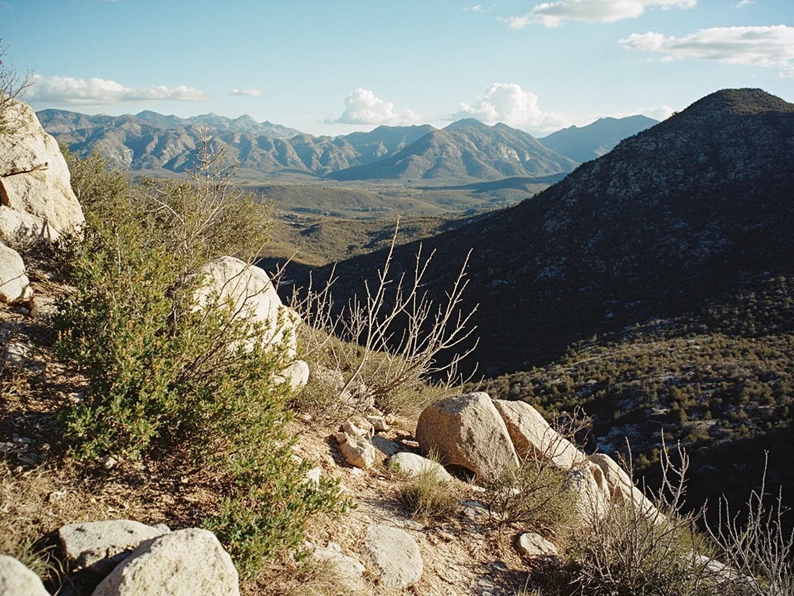 Guadalupe Mountains National Park 场景图 2