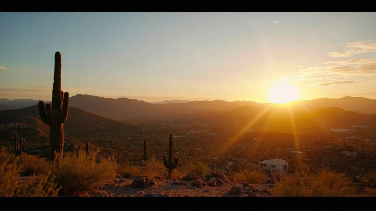 things to do in phoenix this weekend 主题封面图