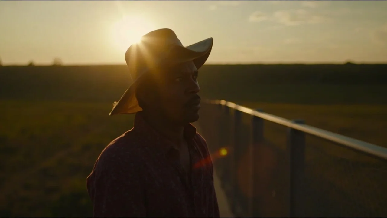 Mississippi Delta 主题封面图