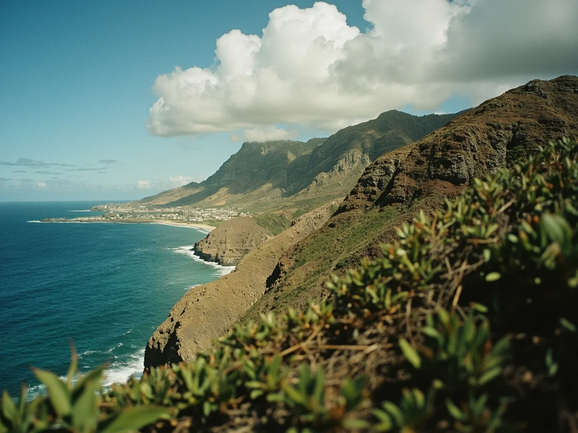 Honolulu 场景图 3
