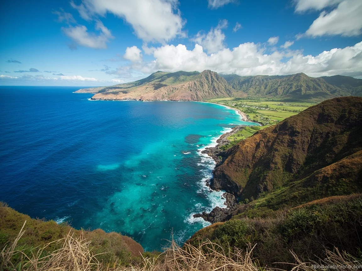 Maui 场景图 4