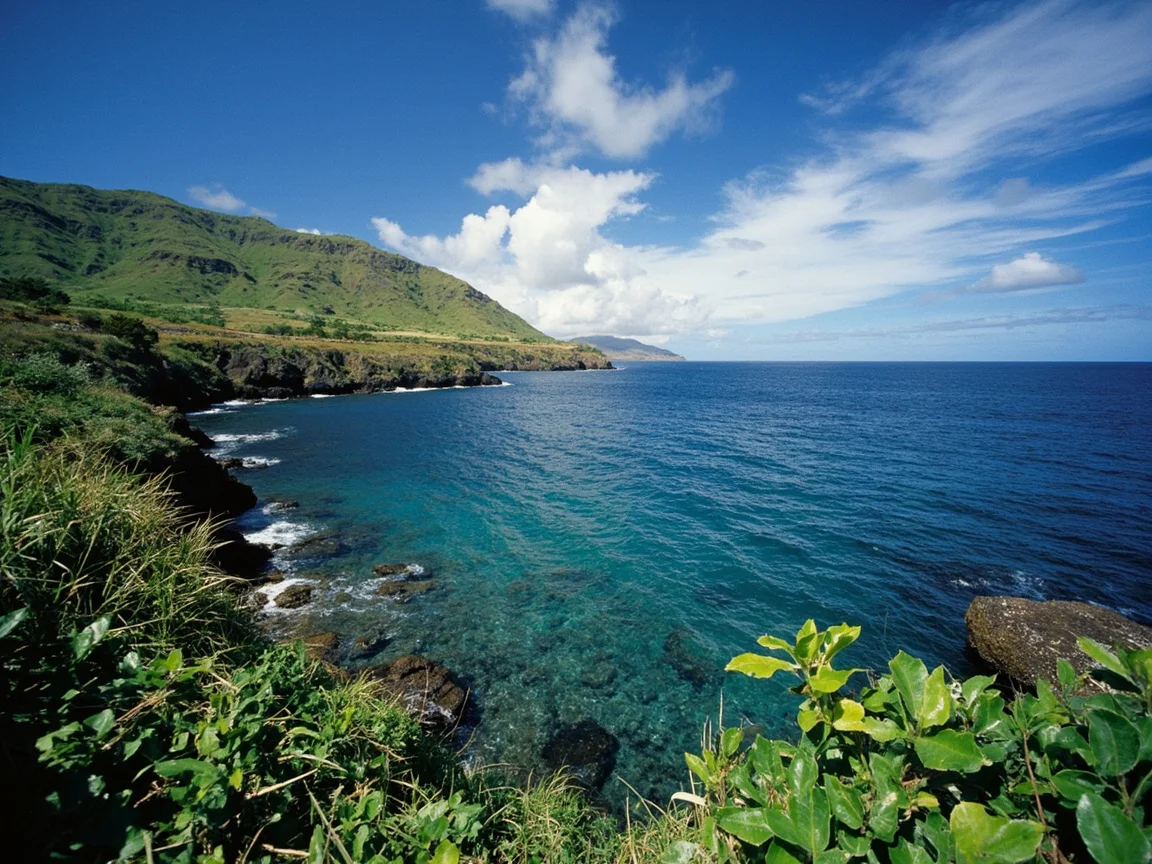 Maui 场景图 3