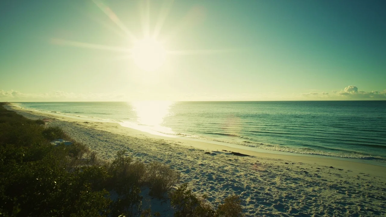 Sanibel Island 主题封面图