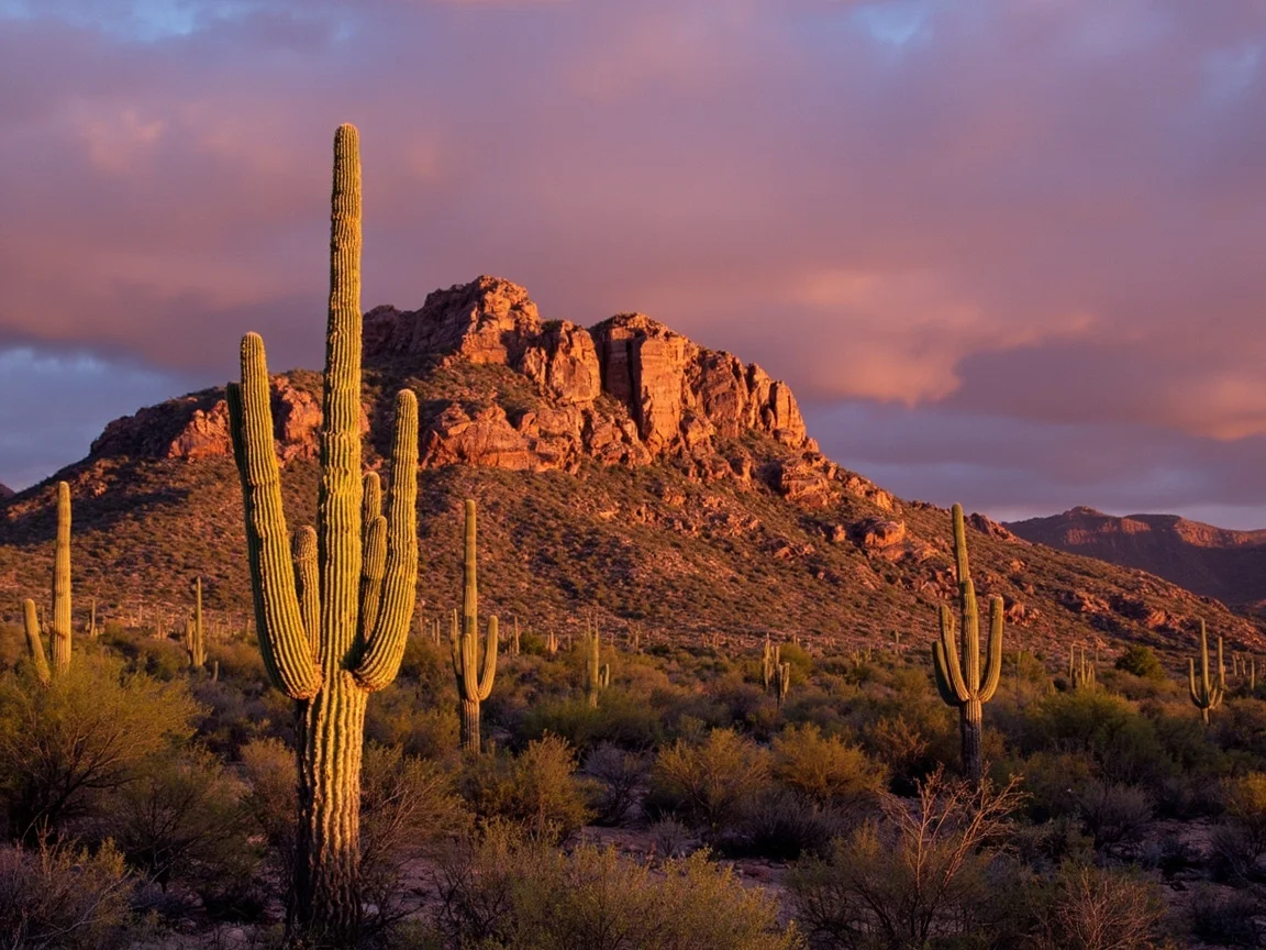 图说:Saguaro National Park 东西两片园区位置与住宿分布示意