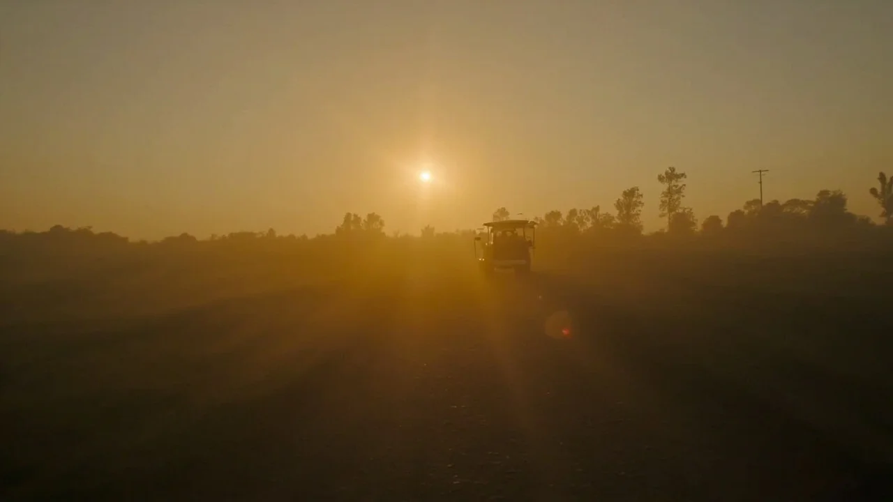 Mississippi Delta 主题封面图