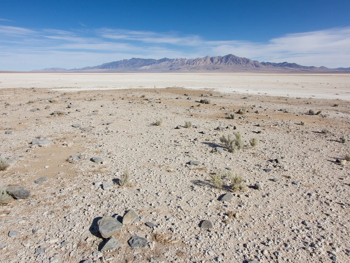 清晨在 Zabriskie Point 拍合影的家庭