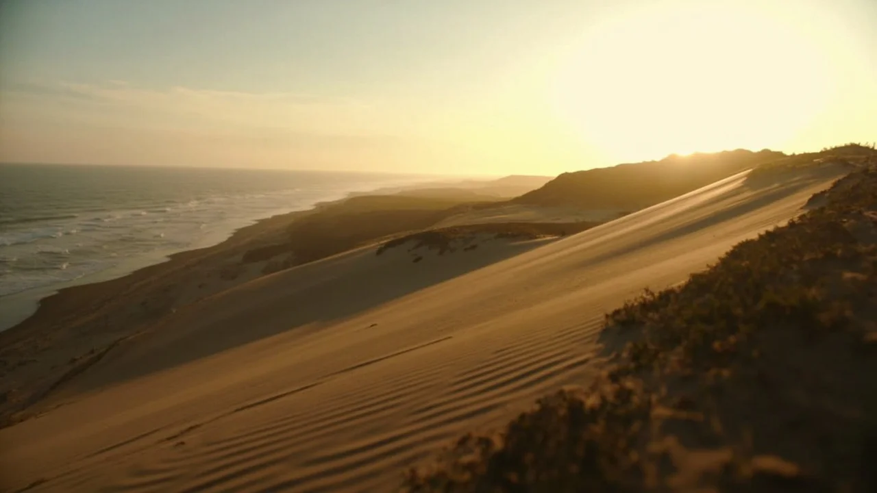 Indiana Dunes National Park 主题封面图